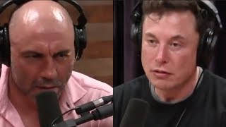 Joe Rogan  What Keeps Elon Musk Up at Night [upl. by Earahs]