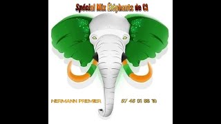 MIX SOUTIEN AUX ELEPHANTS DE CI HERMANN PREMIER 0748018810 [upl. by Saturday]