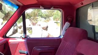 1990 Ford f250 interior [upl. by Oitaroh553]