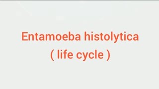 Entamoeba histolytica life cycle hindi Amoebic dysentry parasitic protozoan sciencespectrum07 [upl. by Rosalinde780]