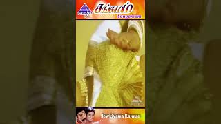 Sowkiyama Kannae Video Song  Sangamam Movie Songs  Rahman  Vindhya  AR Rahman  ytshorts [upl. by Ledarf]