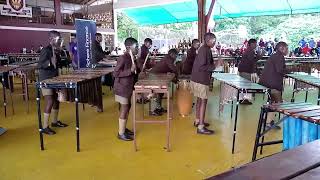 Guva Rangu Marimba Band 1 Wise Owl Primary Allied Arts Nic Manomano Challenge Cup Winner 2022 [upl. by Eneluj]