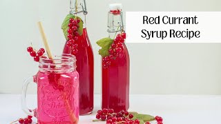 How to make Homemade Red Currant Syrup  Easy Recipe [upl. by Vorster843]