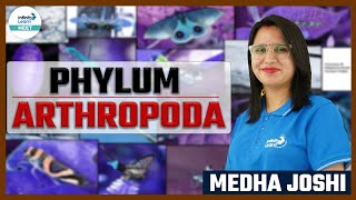 Phylum Arthropoda  ShortLecture  NEETZoology  Medha Joshi  Infinity Learn NEET [upl. by Misaq478]