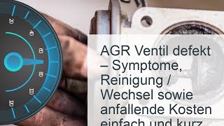 AGR Ventil defekt  Kosten Symptome amp Reinigung  Wechsel erklärt [upl. by Losyram]