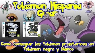 Como conseguir los Pokémon prehistoricos en Pokémon Blanco y Negro Pokémon Hispania [upl. by Herr448]