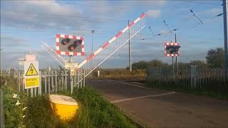 Trains at Conington Level Crossing ECML  141017 [upl. by Mathews419]