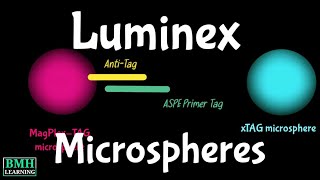 Luminex Microspheres  Luminex xTAG Technology  xTAG amp MagPlexTAG Micrpspheres [upl. by Airrehs]