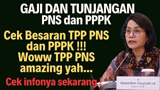 Besaran TPP Tambahan penghasilan pegawai ASN PNS dan PPPK Tunjangan PNS dan PPPK [upl. by Rowen]