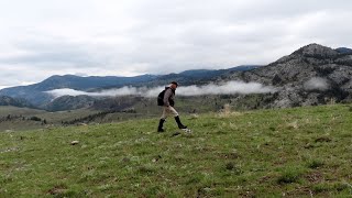 Yellowstone Treadmill Walk 3  Buffalo Plateau [upl. by Cassil]