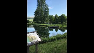 A Warm and Weedy Day at Kilnsey Park [upl. by Hgalehs]