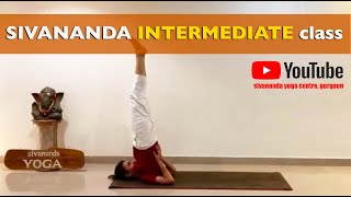 Sivananda Yoga Class  60 min session  Intermediate variations [upl. by Yknip]