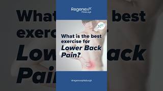 What Is the Best Exercise for Lower Back Pain [upl. by Liba389]