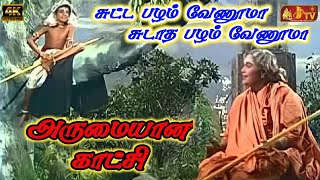 Sutta Pazham Sudatha Pazham Super Scene JJTVPollachi [upl. by Otho]