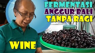 Cara Membuat Wine  Fermentasi Anggur Bali Tanpa Ragi  RyantAR [upl. by Yhtorod793]