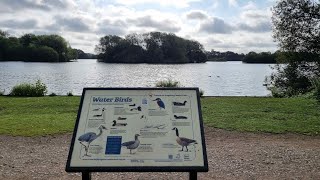 Kingsbury Water Park Country Park in Warwickshire UK Walking Tour English Countryside in 4K [upl. by Row]