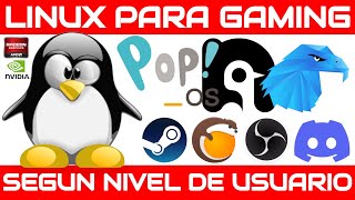 3 DISTROS LINUX PARA GAMING SEGUN TU NIVEL DE USUARIO [upl. by Jillene]