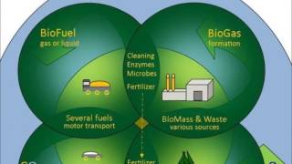 Biodiesel from Algae at Home Ideas [upl. by Muns685]