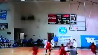 Daja Johnsons Game highlights 201314 [upl. by Wampler921]