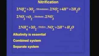 Denitrification Standing Water [upl. by Bussey501]