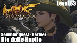 Final Fantasy XIV Stormblood ⛏️➽ Die dolle Knolle  Gärtner  Level 63  HD [upl. by Elia]