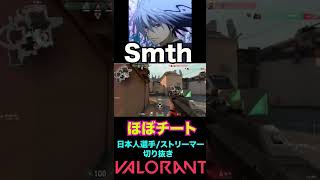 【VALORANT】Smth ほぼチート [upl. by Ping]