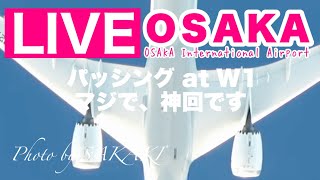 🔴 LIVE OSAKA ITAMI Airport  JAPAN  2024225 大阪伊丹空港 ライブカメラ 雨と雪 [upl. by Sedicla]