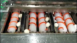 MT2001 hard boiled egg peeling machine [upl. by Kahle]