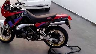 Yamaha TDR 250 [upl. by Honeyman]