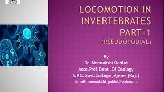 Locomotion in Invertebrates Part 1 [upl. by Baptiste]