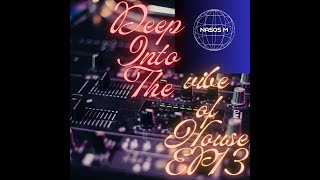 Deep into The vibe of House EP13 [upl. by Lesslie98]