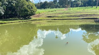 Chacara pronta pra morar apenas 55 km de Goiânia 178 hectares R 1800000 [upl. by Yrrac]