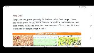 Agriculture and industries in India  chapter 8 class 4  Footprints  SSt [upl. by Anayaran]