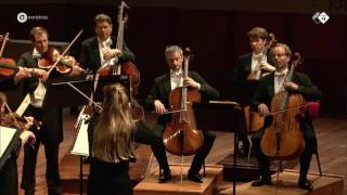 Elgar Serenade for Strings  Concertgebouw Chamber Orchestra  Live concert HD [upl. by Valenba]