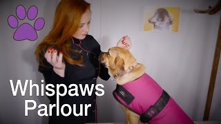 🐾Whispaws Parlour🐾 ASMR Dog Spa amp Massage  Fur Brushing amp Ear Examination [upl. by Oliviero]