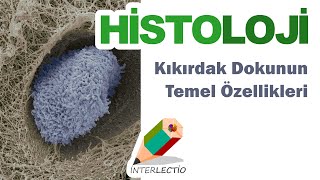 Histoloji  Kıkırdak Doku  Kıkırdak Dokunun Temel Özellikleri [upl. by Eelirak]