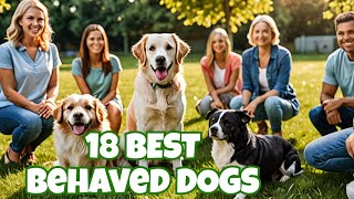 18 Best Behaved Dog Breeds and Dog Training DETAILED [upl. by Daloris]