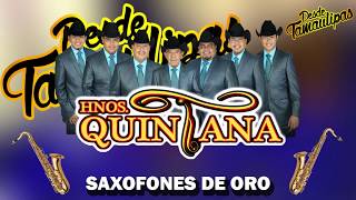 Saxofones de oro audio  Hermanos Quintana  DT [upl. by Farra471]