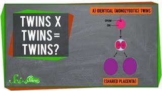 Twins x Twins  Twins [upl. by Sanderson]