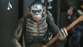 Dawn of the Planet of the Apes Series 1 Koba Review [upl. by Nosnhoj270]