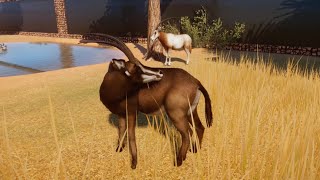 Sable Antelope And Scimitar Horned Oryx Habitat  Planet Zoo Speed Build [upl. by Mulvihill]