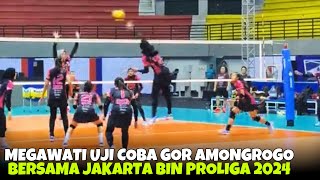 LATIHAN MEGAWATI HANGESTRI BERSAMA JAKARTA BIN DI GOR AMONGROGO JOGJA PROLIGA 2024 [upl. by Graff156]