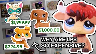 LPS prices are out of control  Littlest Pet Shop 2024 Reboot News [upl. by Ireland]