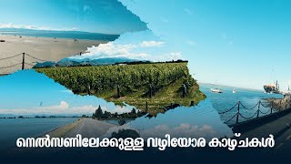 ന്യൂസിലാൻഡിലെ നെൽസനിയിലേക്കുള്ള വഴിയോര കാഴ്ചകൾ  Road trip  Travelling channel malayalam EP 10 [upl. by Bullock21]