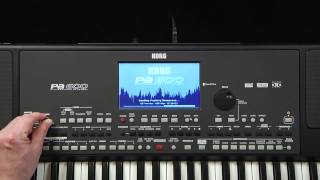 Korg Pa600 Video Manual  Part 1 Introduction and Navigation [upl. by Tnomal]