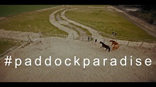 Paddock Paradise [upl. by Leikeze]