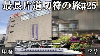 【最長片道切符の旅25】甲府観光を満喫し、東海道新幹線で一気に西へ [upl. by Farrah390]