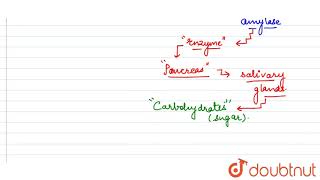 What is the optimum pH required for pancreatic amylase [upl. by Yenduhc]