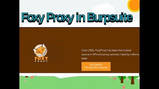 How to Install and Configure Foxy Proxy with Firefox uses of foxyproxy with Burpsuite [upl. by Marler]