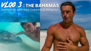 I SWAM WITH WILD DOLPHINS amp STINGRAYS  Tyler Cameron Vlogs [upl. by Cristin]